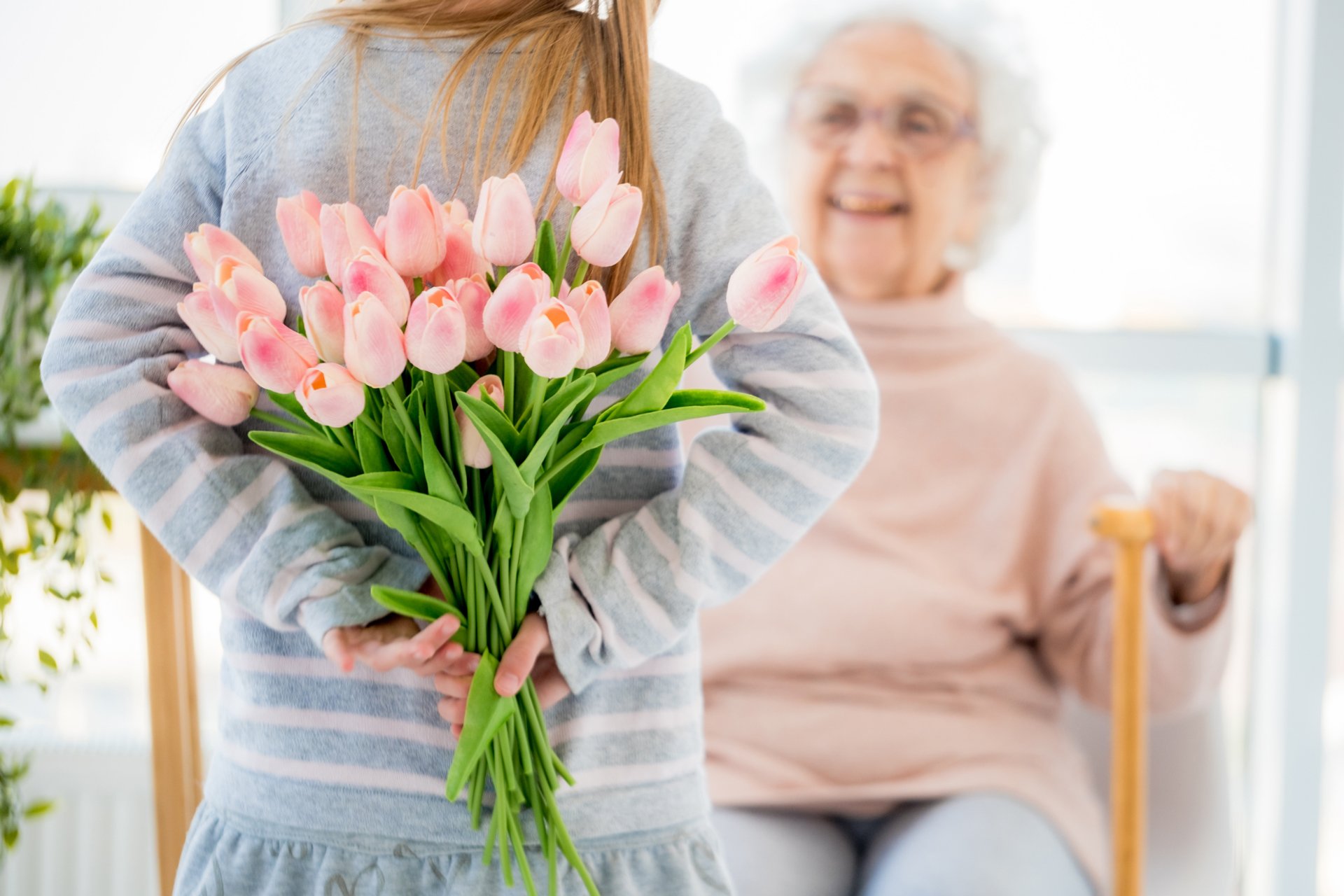 GalenusCare_409877923 GalenusCare_409877923